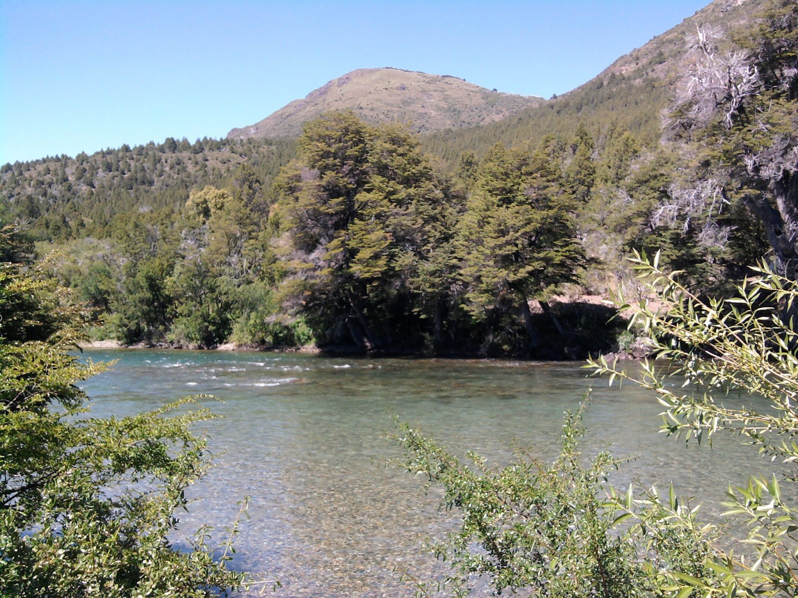 Cholila