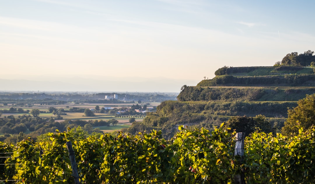 Fribourg