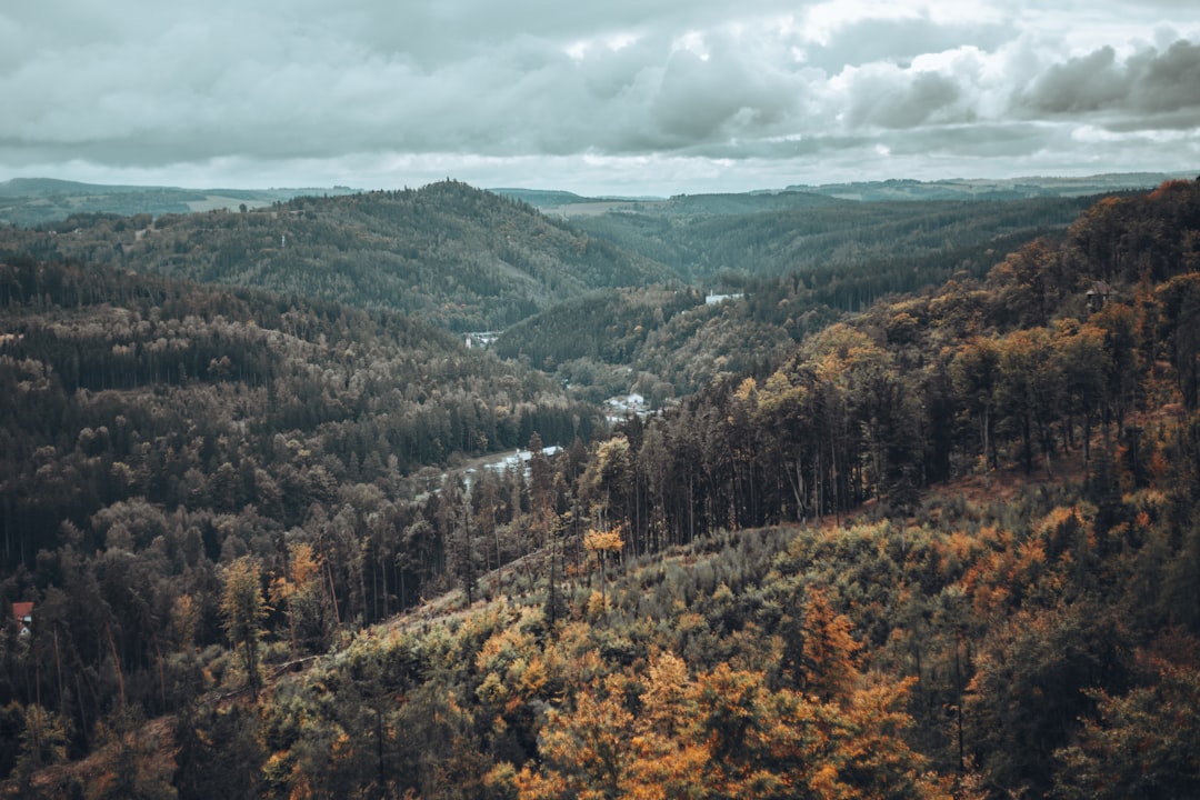 Karlovy Vary Region