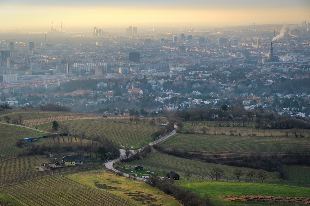 Vienna