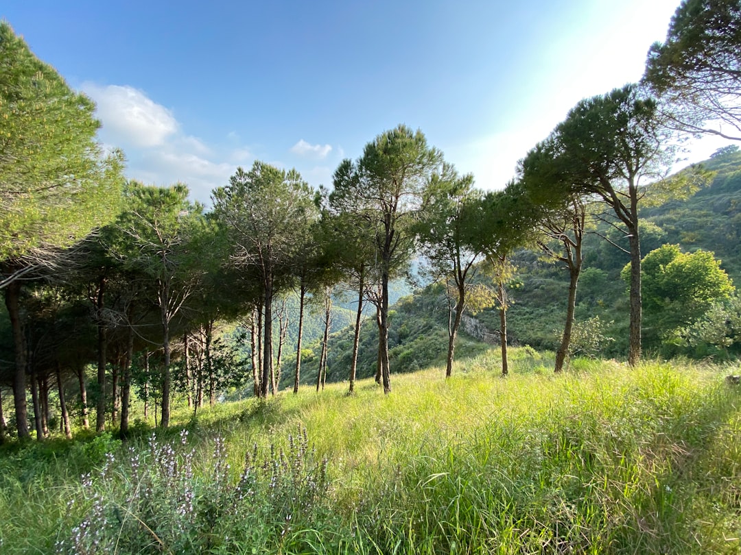 Monte Libano