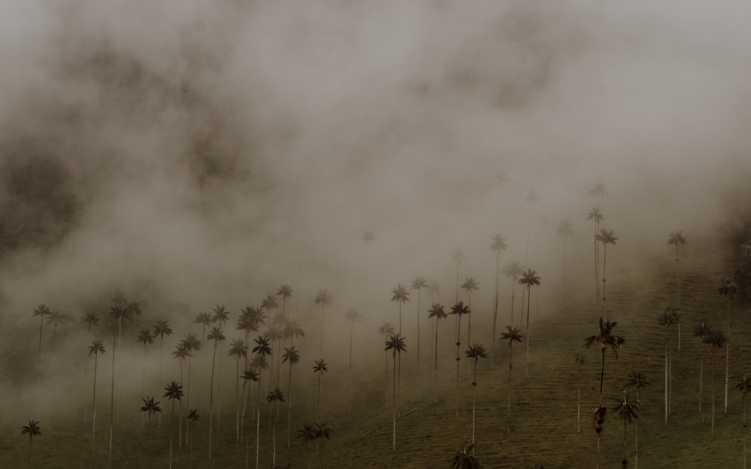 Quindío