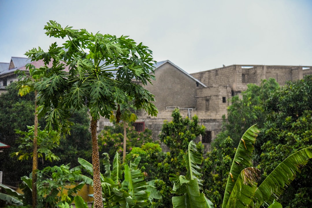Republik Kongo