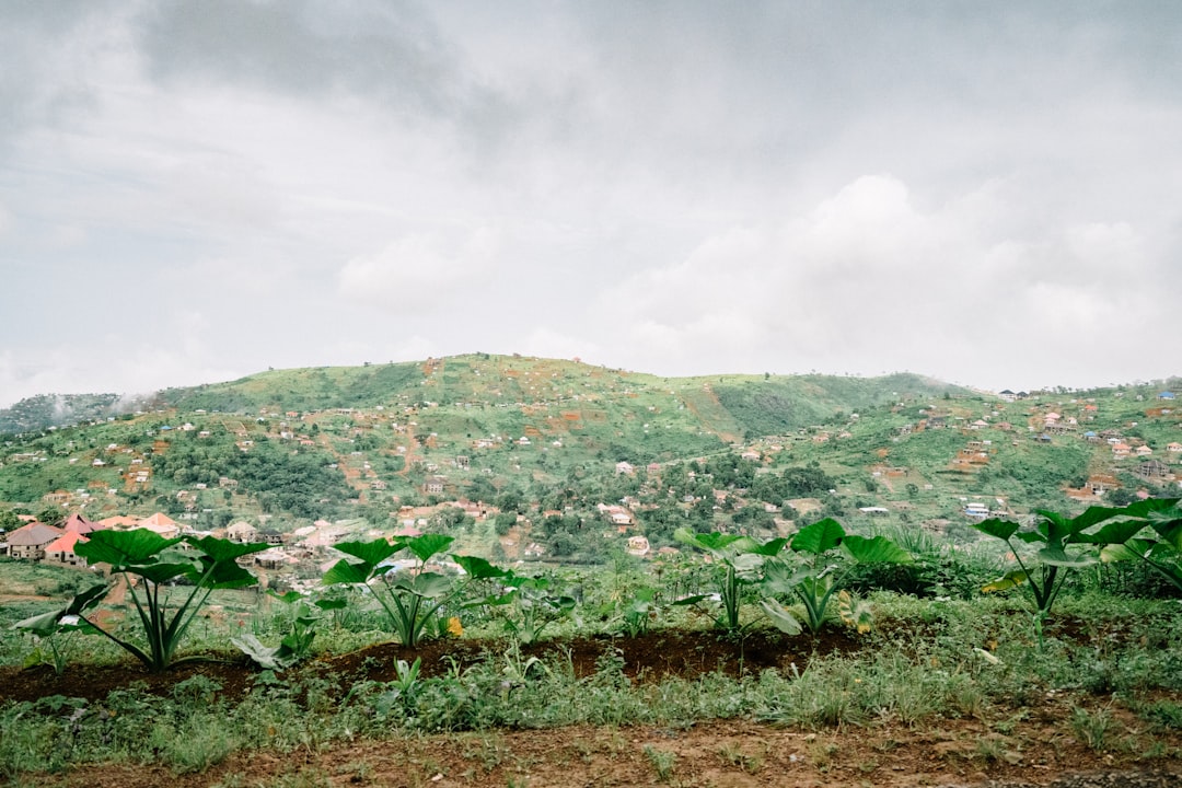Sierra Leona