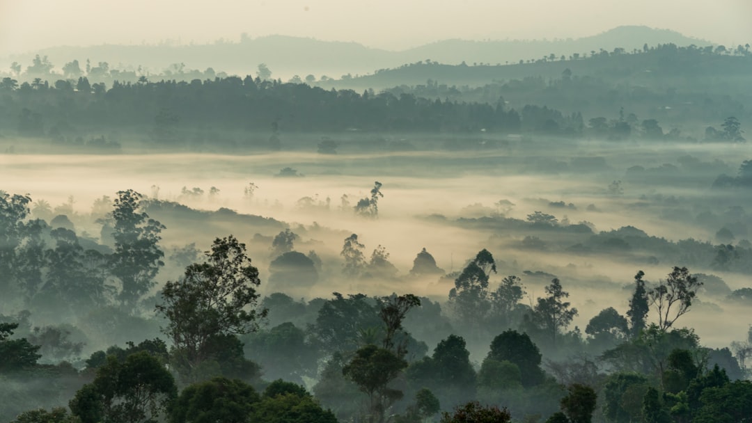 Camerun