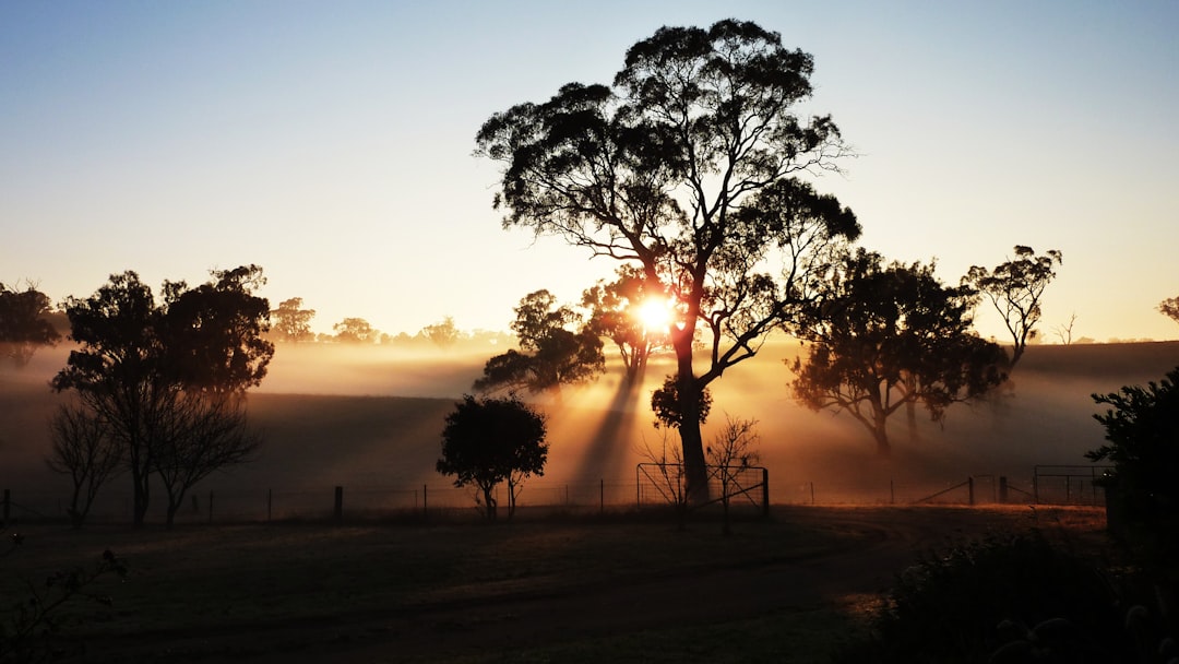 Australia