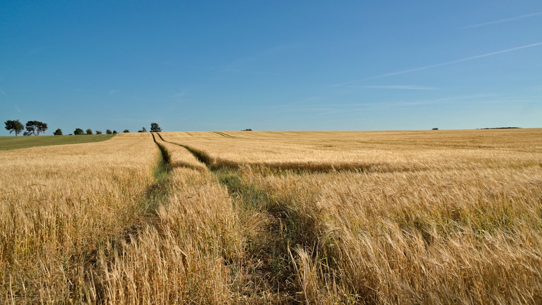 Polonia