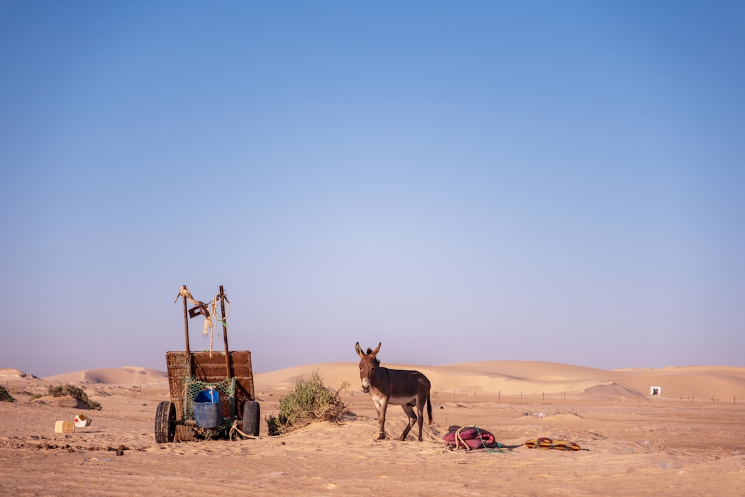 Mauritania