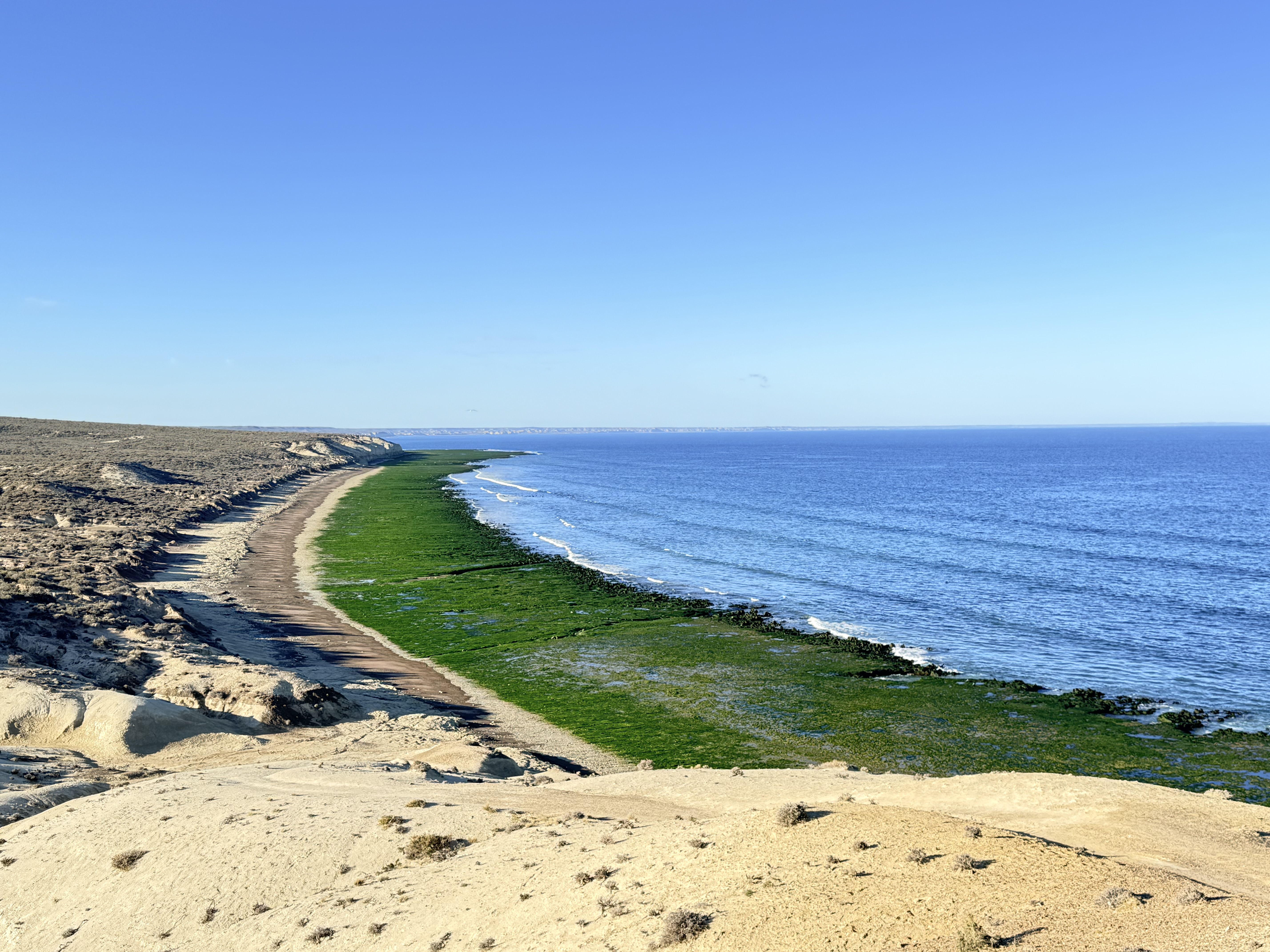 Puerto Madryn mucho más de lo que esperaba.
