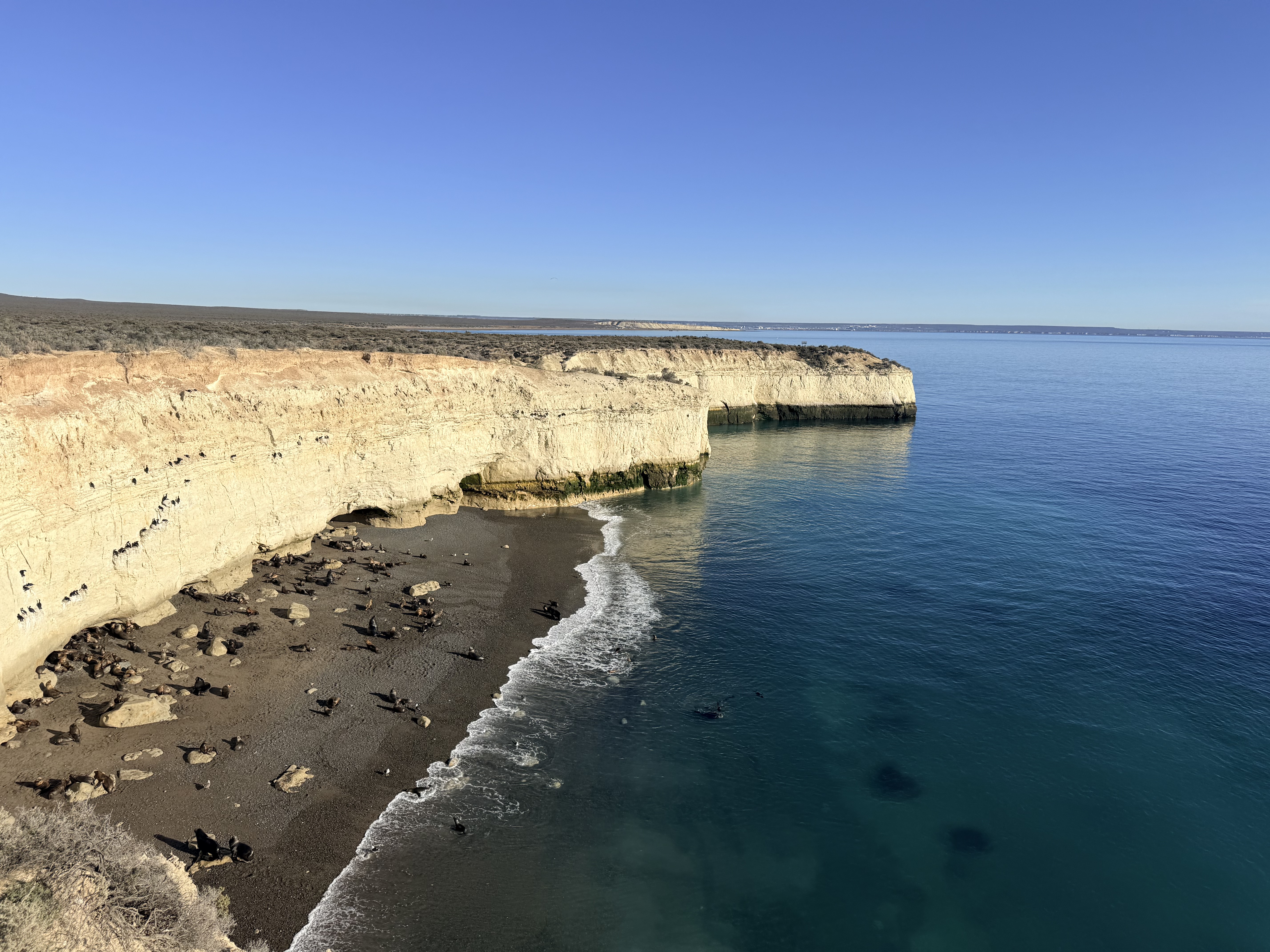 Puerto Madryn mucho más de lo que esperaba.